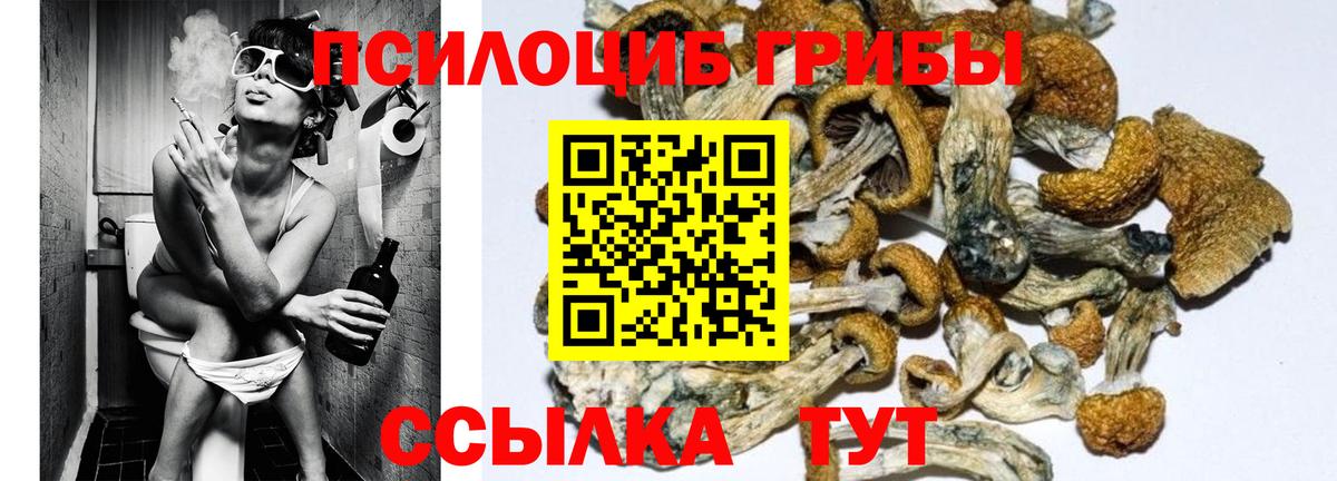 Галлюциногенные грибы прущие грибы Ангарск